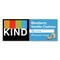 KIND 1.4 oz. Fruit and Nut Bars - Blueberry Vanilla and Cashew (12/Box)